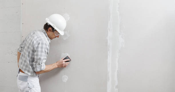 Best Drywall Sanding and Smoothing  in Carrollton, IL