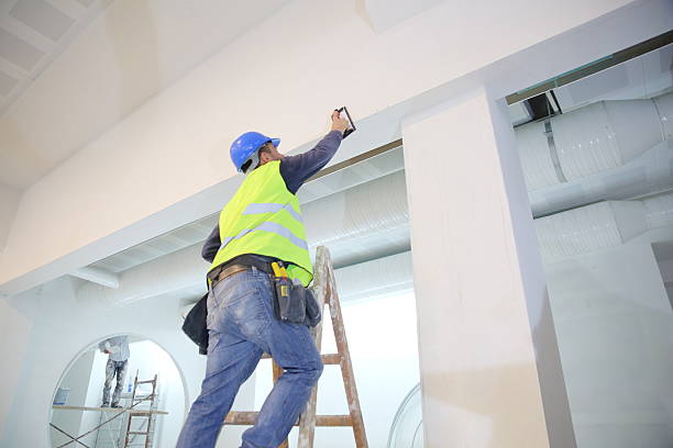 Best Water-Damaged Drywall Repair  in Carrollton, IL